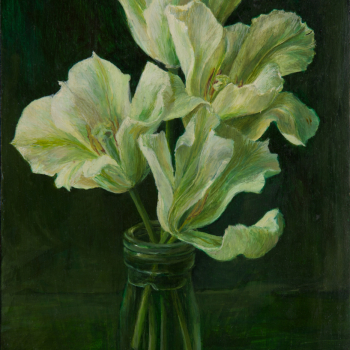 Het einde van de witte tulpen