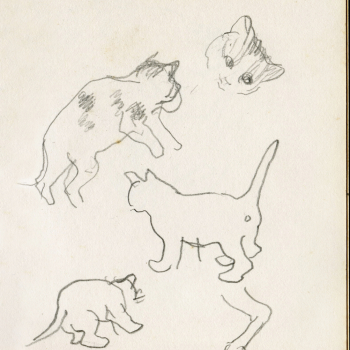 Studie van kat in schetsboekje