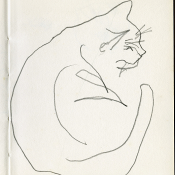 Studie van kat in schetsboekje