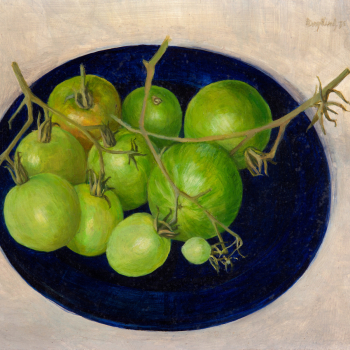 Groene tomaten op een blauw bord