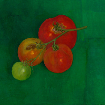 Tomaten aan takje