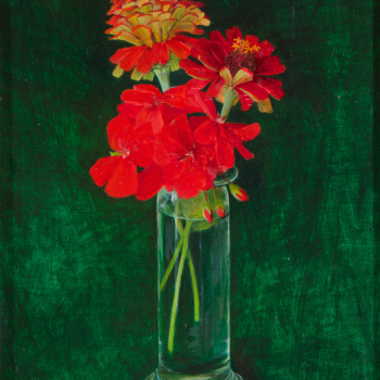 Zinnia's en geranium