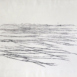De Waal, 1991
