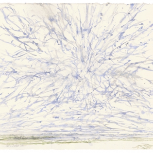 Zuidwestenwind. Doorbrekende zon.