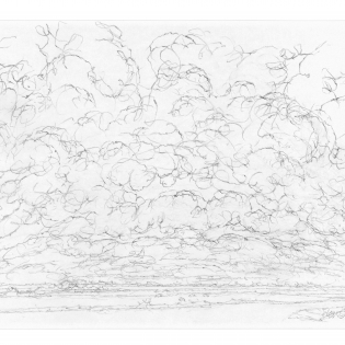 Westenwind. Zwaarbewolkt.