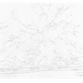 Zuidwestenwind. Lichtbewolkt.